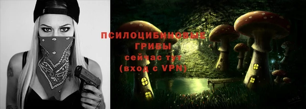 мдпв Покровск