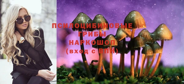 дурь Абинск