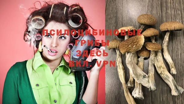 дурь Абинск