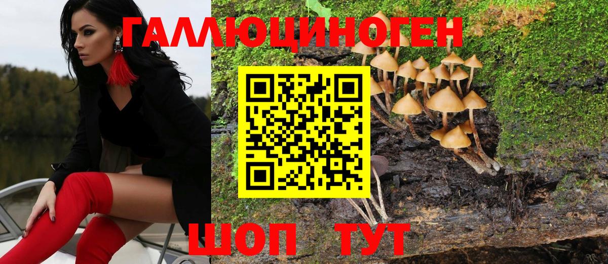 Псилоцибиновые грибы MAGIC MUSHROOMS Кизляр